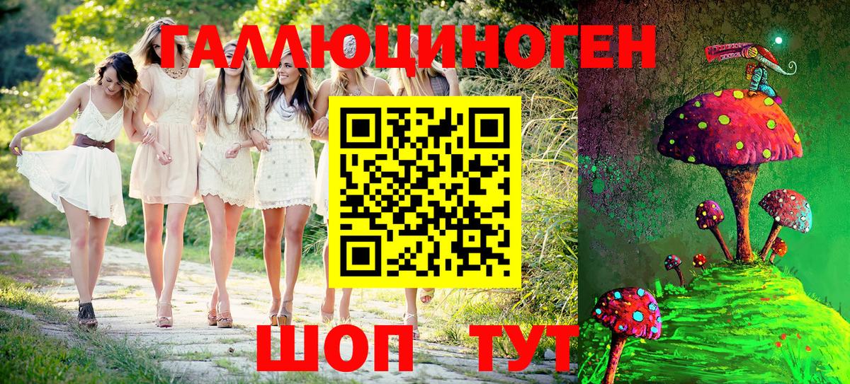 Дербент  Псилоцибиновые грибы Psilocybine cubensis  Вход с VPN 