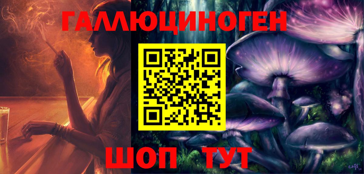 Псилоцибиновые грибы мухоморы Дербент